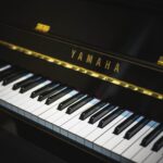 29 mai – Les Grands Trios Classiques