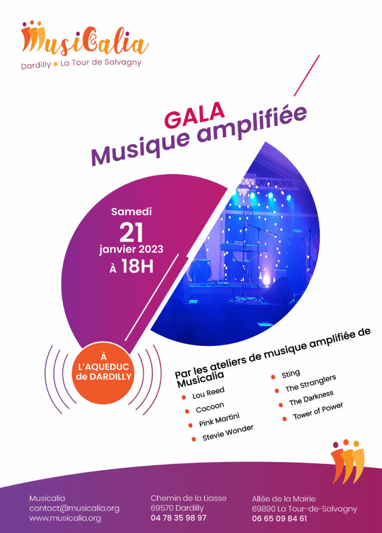 Lire la suite à propos de l’article Gala Musique amplifiée